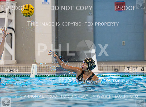 DLS_3972