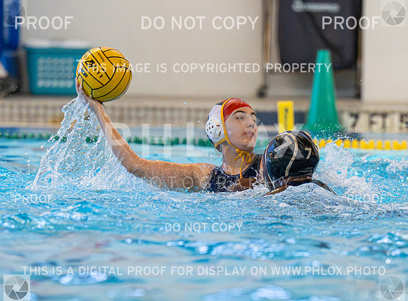 DLS_4036