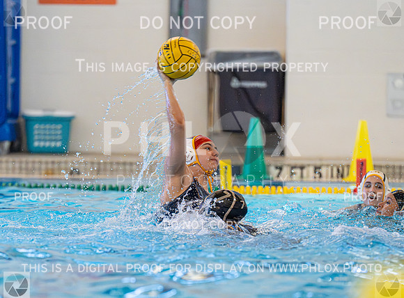 DLS_4037