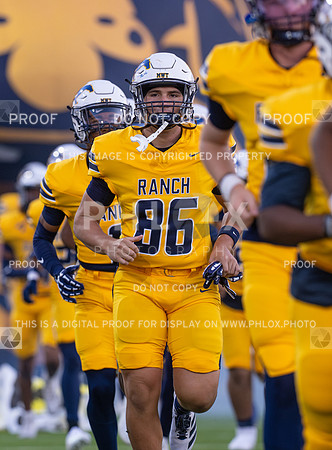 DLS_8037