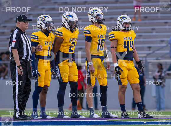 DLS_8064