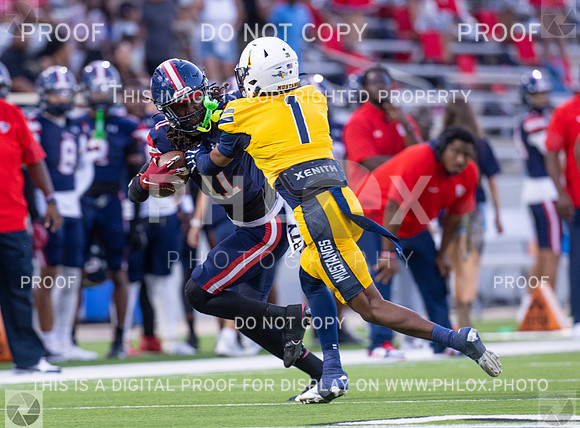 DLS_8104