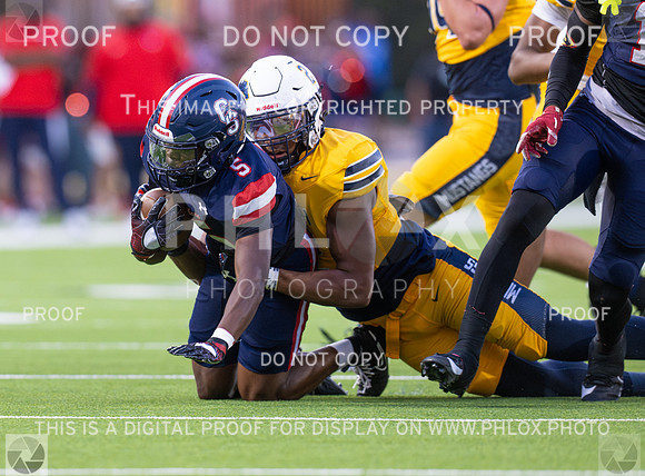 DLS_8118