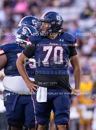 DLS_8151