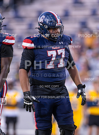 DLS_8152