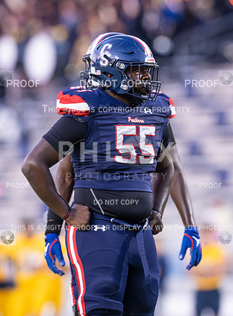 DLS_8153