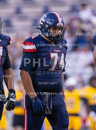 DLS_8155