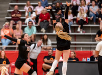 MHSVB--4