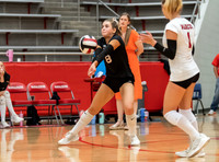 MHSVB--5