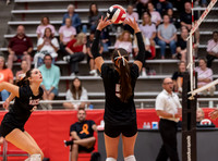 MHSVB--8