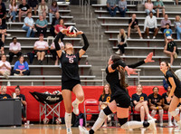 MHSVB--16