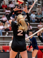 MHSVB--18