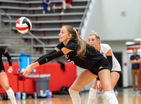 MHSVB--19