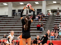 MHSVB--20
