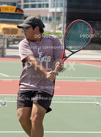 DLS_7618