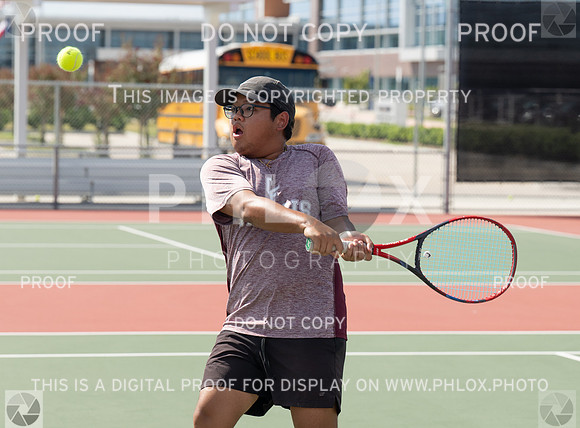 DLS_7620