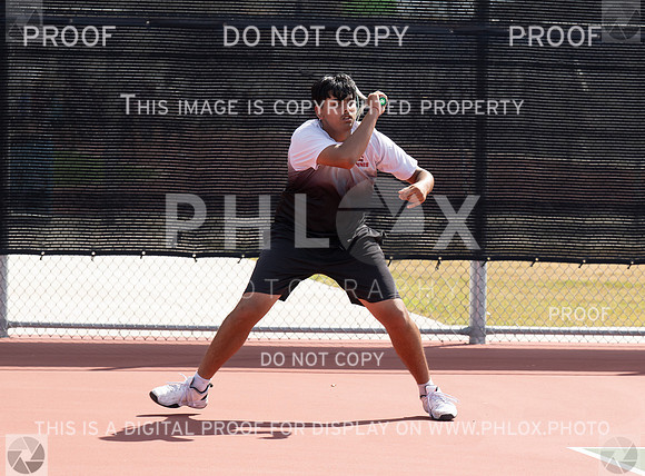 DLS_7631