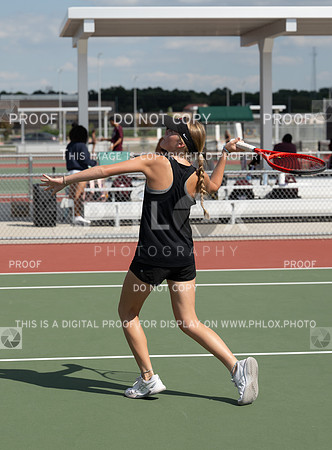 DLS_7652