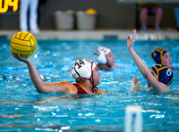 DLS_9199-2