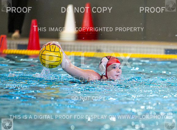 DLS_9251-2