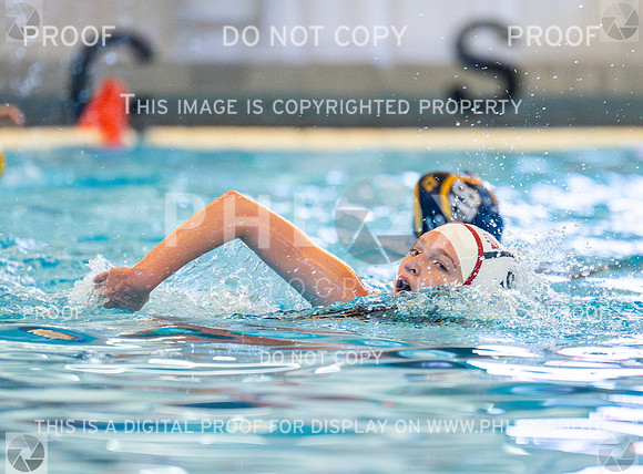 DLS_9394