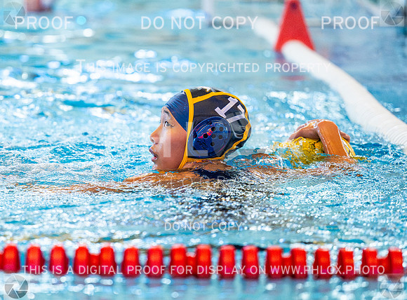 DLS_9396