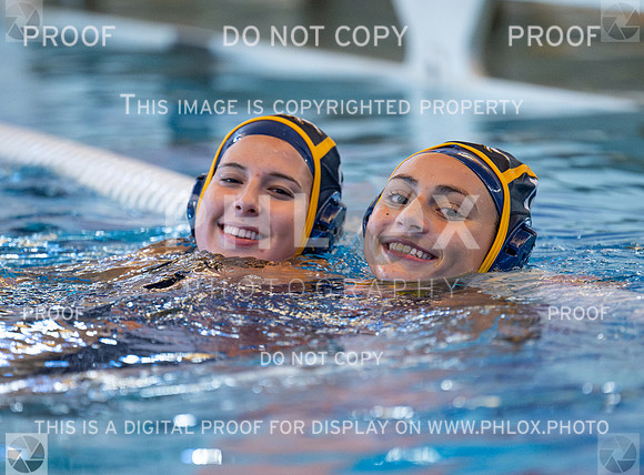 DLS_9508
