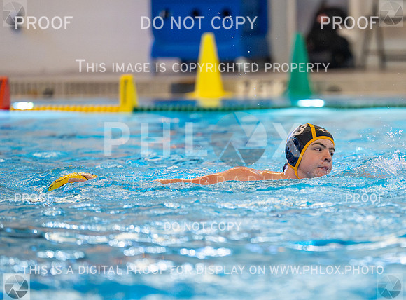 DLS_0217