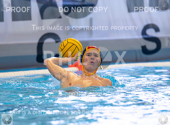 DLS_0433