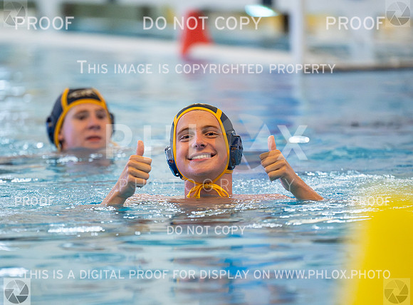 DLS_0449