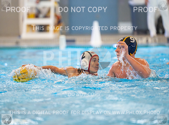 DLS_0509