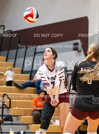 DLS_0082