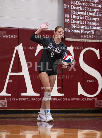 DLS_9707