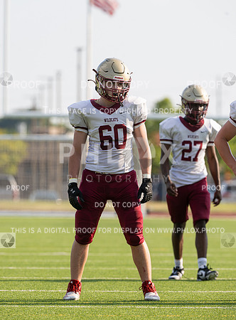 DLS_0582