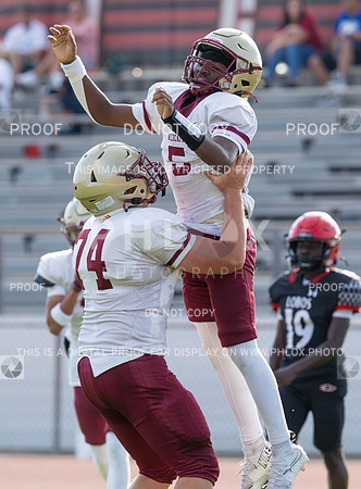 DLS_0605
