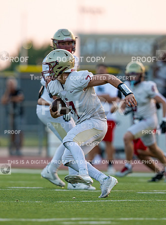 DLS_1513