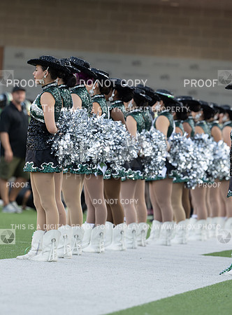 DLS_1823