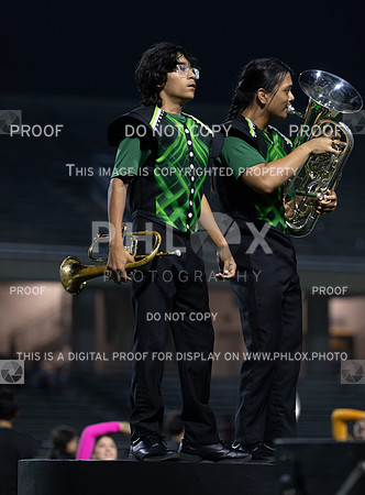 DLS_3355