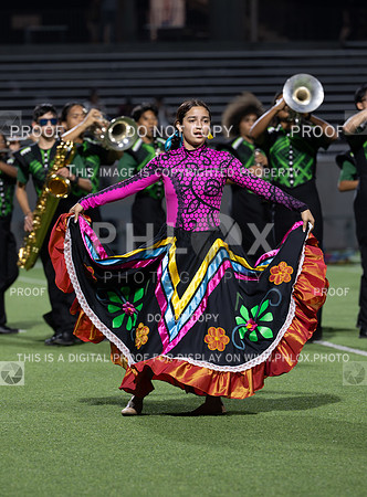 DLS_3393