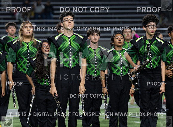 DLS_3417