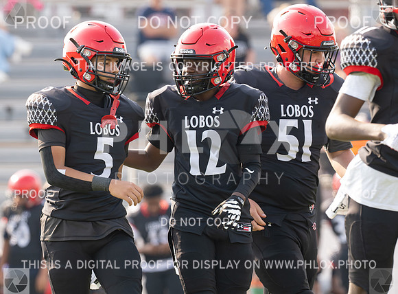 DLS_8779