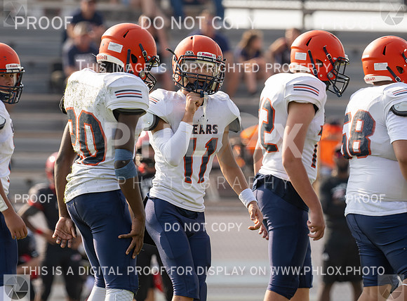 DLS_8841
