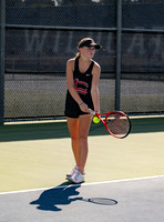 DLS_3435