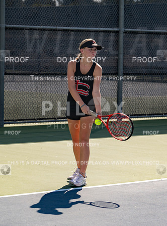 DLS_3435
