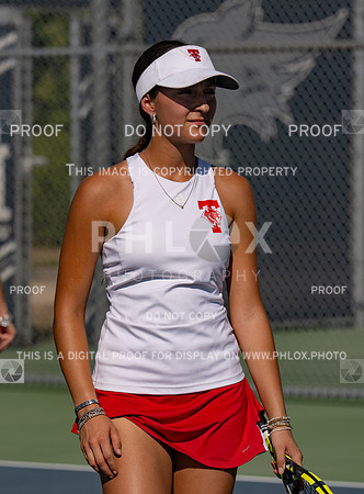 DLS_3474