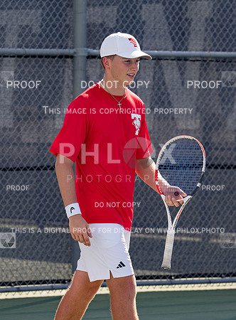 DLS_3482