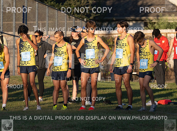 DLS_7509