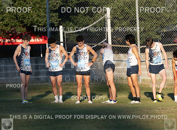 DLS_7513