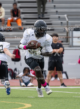 DLS_8329