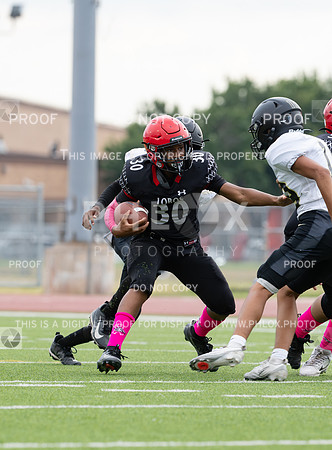 DLS_8413
